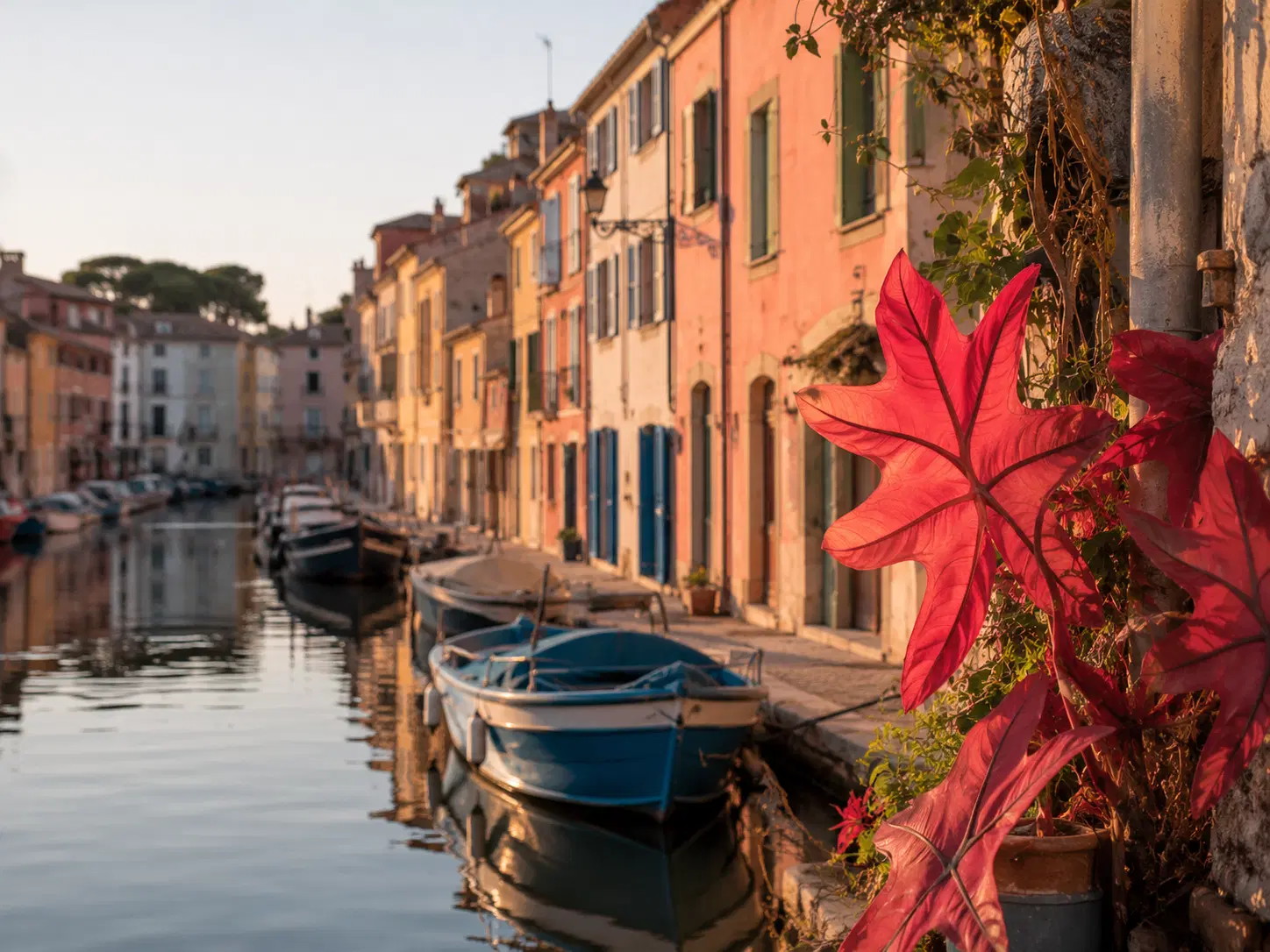 Création de site web à Martigues