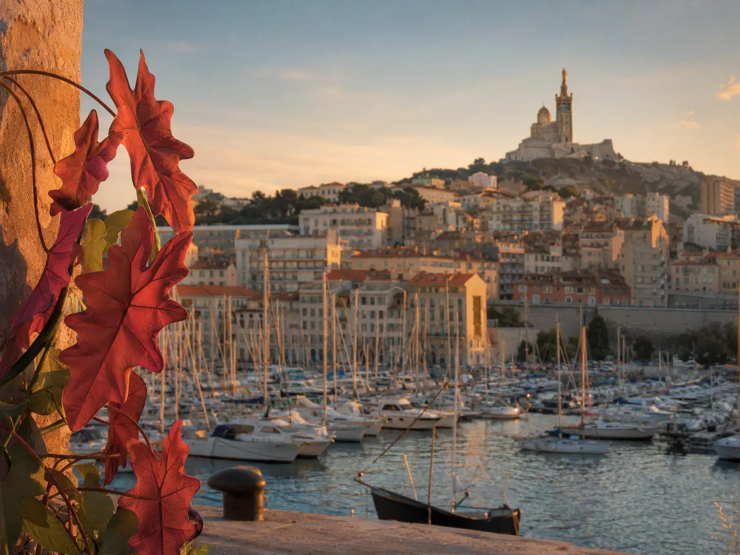 Création de site web à Marseille